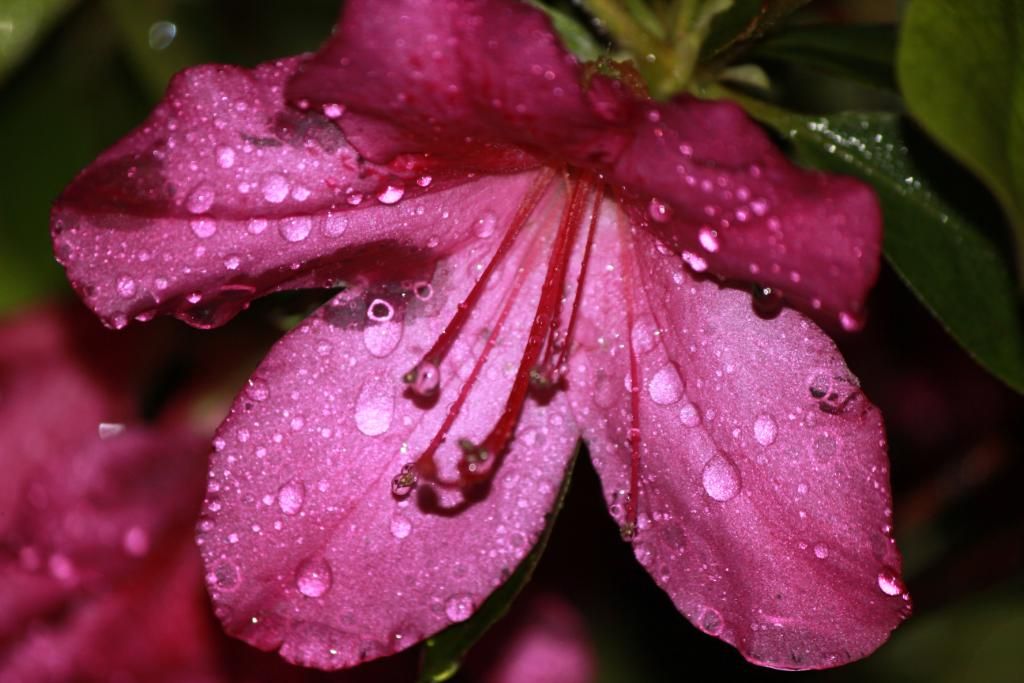 My Spiritual Journey